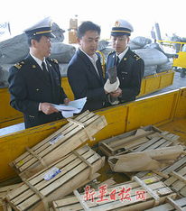 驗(yàn)放進(jìn)出口貨物 流程、合規(guī)與效率的關(guān)鍵環(huán)節(jié)